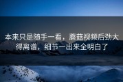 本来只是随手一看，蘑菇视频后劲大得离谱，细节一出来全明白了