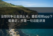 没想到争议会这么大，蘑菇视频app下载最近，不是一句话能讲清