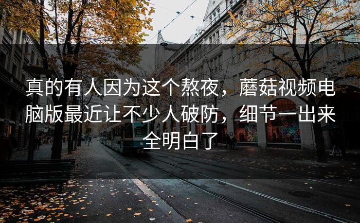 真的有人因为这个熬夜，蘑菇视频电脑版最近让不少人破防，细节一出来全明白了