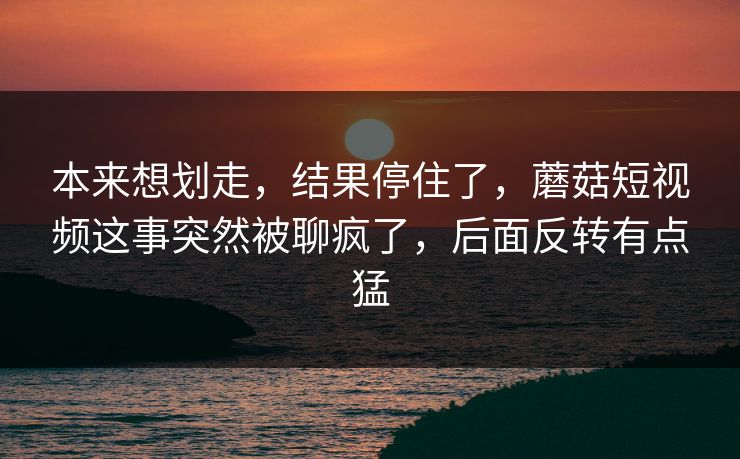 本来想划走，结果停住了，蘑菇短视频这事突然被聊疯了，后面反转有点猛