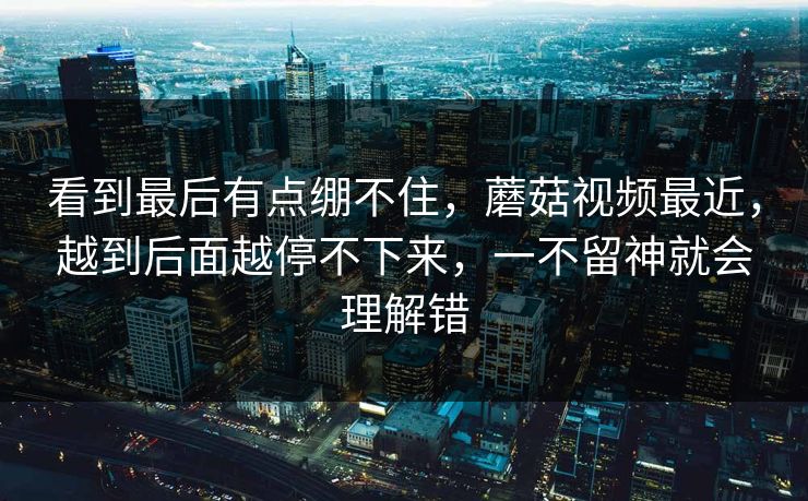 看到最后有点绷不住，蘑菇视频最近，越到后面越停不下来，一不留神就会理解错