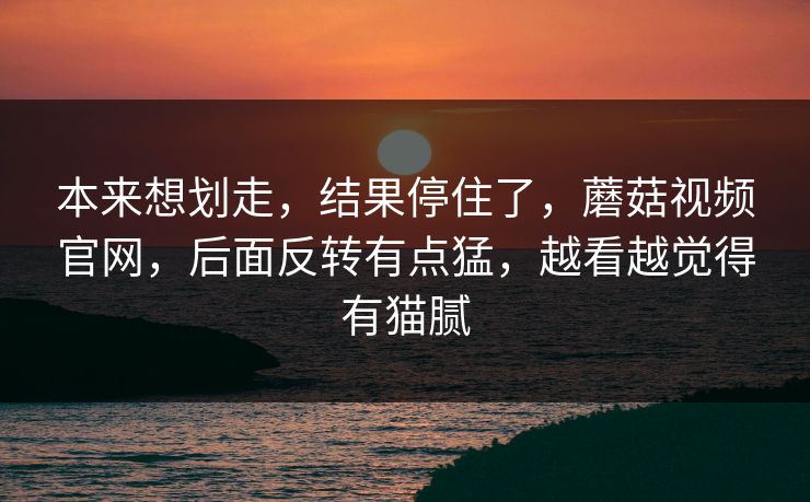 本来想划走,结果停住了,蘑菇视频官网,后面反转有点猛,越看越觉得有猫腻 本来想划走,结果停住了,蘑菇视频官网,后面反转有点猛,越看越觉得有猫腻