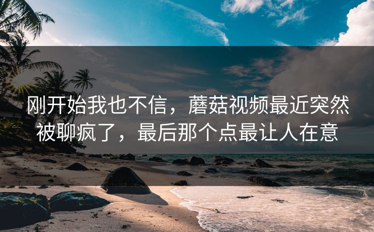 刚开始我也不信,蘑菇视频最近突然被聊疯了,最后那个点最让人在意 刚开始我也不信,蘑菇视频最近突然被聊疯了,最后那个点最让人在意
