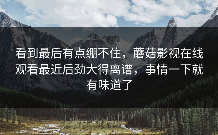 看到最后有点绷不住,蘑菇影视在线观看最近后劲大得离谱,事情一下就有味道了 看到最后有点绷不住,蘑菇影视在线观看最近后劲大得离谱,事情一下就有味道了