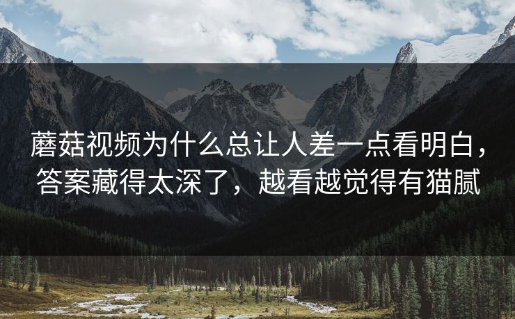 蘑菇视频为什么总让人差一点看明白，答案藏得太深了，越看越觉得有猫腻