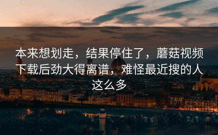 本来想划走,结果停住了,蘑菇视频下载后劲大得离谱,难怪最近搜的人这么多 本来想划走,结果停住了,蘑菇视频下载后劲大得离谱,难怪最近搜的人这么多