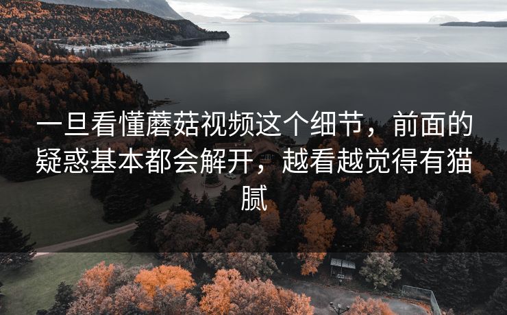 一旦看懂蘑菇视频这个细节,前面的疑惑基本都会解开,越看越觉得有猫腻 一旦看懂蘑菇视频这个细节,前面的疑惑基本都会解开,越看越觉得有猫腻