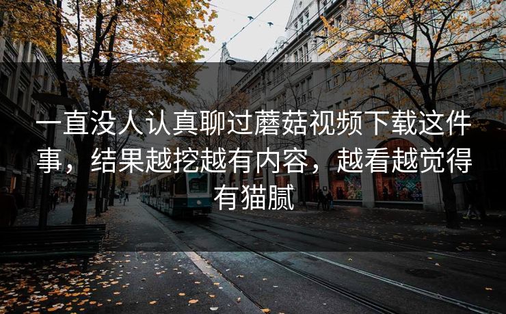 一直没人认真聊过蘑菇视频下载这件事，结果越挖越有内容，越看越觉得有猫腻