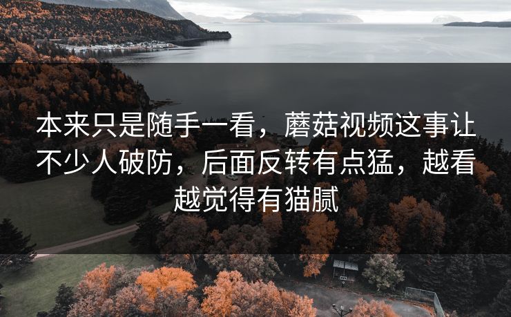 本来只是随手一看,蘑菇视频这事让不少人破防,后面反转有点猛,越看越觉得有猫腻 本来只是随手一看,蘑菇视频这事让不少人破防,后面反转有点猛,越看越觉得有猫腻