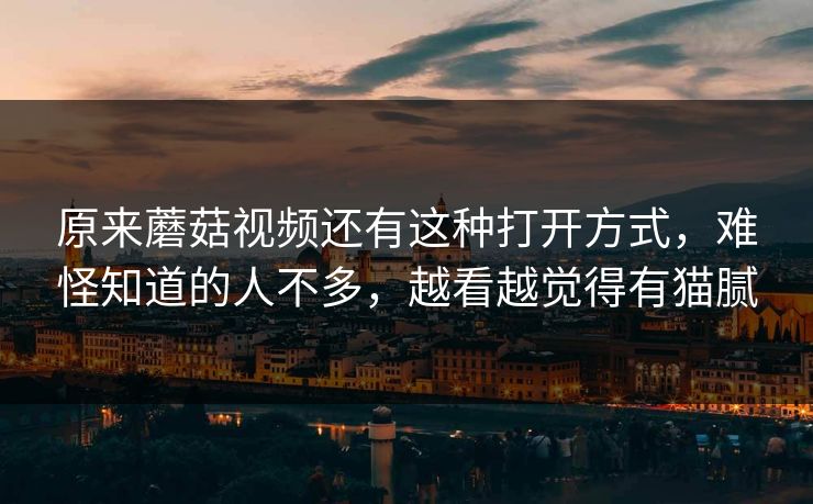 原来蘑菇视频还有这种打开方式,难怪知道的人不多,越看越觉得有猫腻 原来蘑菇视频还有这种打开方式,难怪知道的人不多,越看越觉得有猫腻